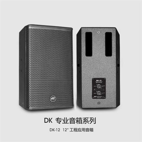 DK-12  专业 12" 工程应用音箱