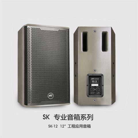 SK-12 专业 12" 工程应用音箱