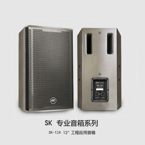 SK-12A  专业 12