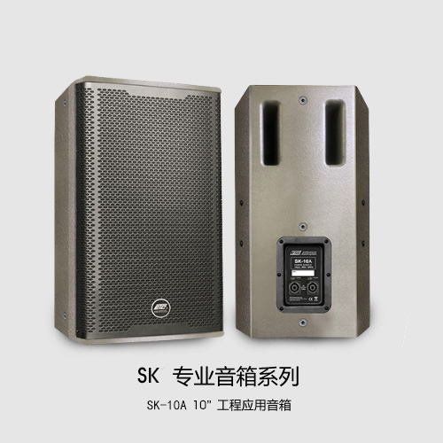SK-10A 专业 10